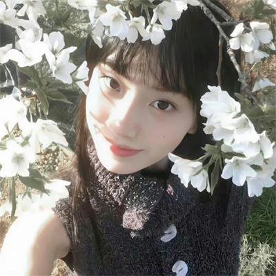 侠客行