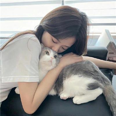 智运双全